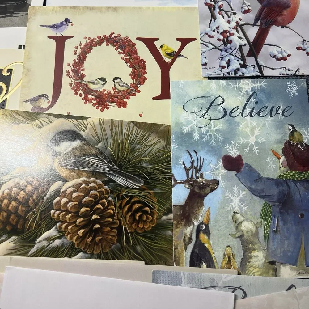 Lot 12 Assorted Greeting Cards with Envelopes Christmas Sympathy Floral NEW